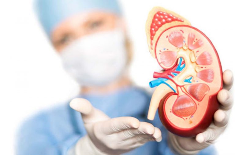 nephrology-research-study-royal-research